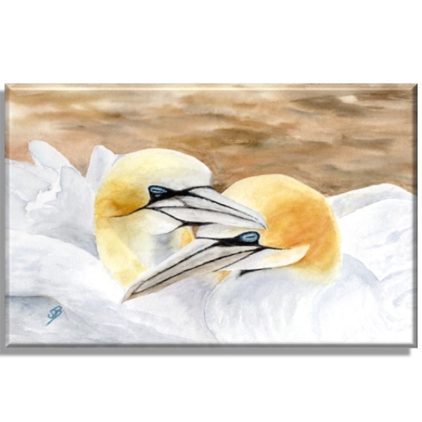 Leinwand 30 x 20 cm Keilrahmen Canvas-Leinen Aquarell Maritim Kunst Druck Kunstdruck Nordsee Insel Helgoland Basstölpel Vögel Lange Anna Felsen