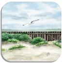 Untersetzer Glasuntersetzer 9,5 x 9,5 cm Baltrum - Pfahlschutzwerk - Baltrum7