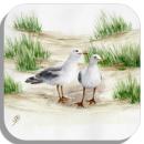 Coasters glass coasters 9,5 x  9,5 cm Seagulls in the Dunes DK12