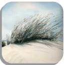 Coasters glass coasters 9,5 x  9,5 cm Dune DK17