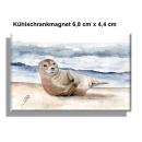 Kühlschrankmagnet kleiner Seehund DK25