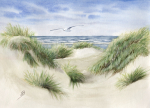Postcard DIN-A6 Dunes DK42