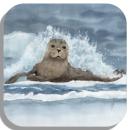Coasters glass coasters 9,5 x  9,5 cm seal in waves DK45