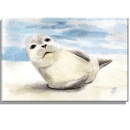 Kühlschrankmagnet weißer Seehund am Strand - DK56