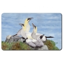 Frühstücksbrettchen Brettchen Basstölpelfelsen Helgoland10