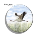 Kühlschrankmagnet m. Flaschenöffner Kranich im Flug Ostsee Darß Zingst WA4